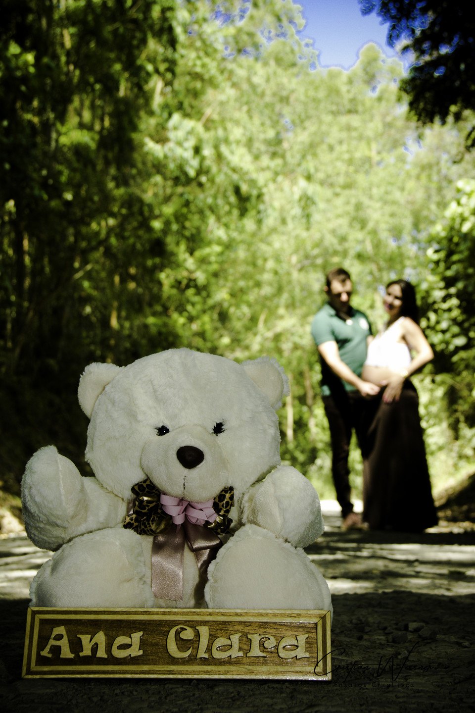 Gestantes — Selhorst Fotografia Clássica 19